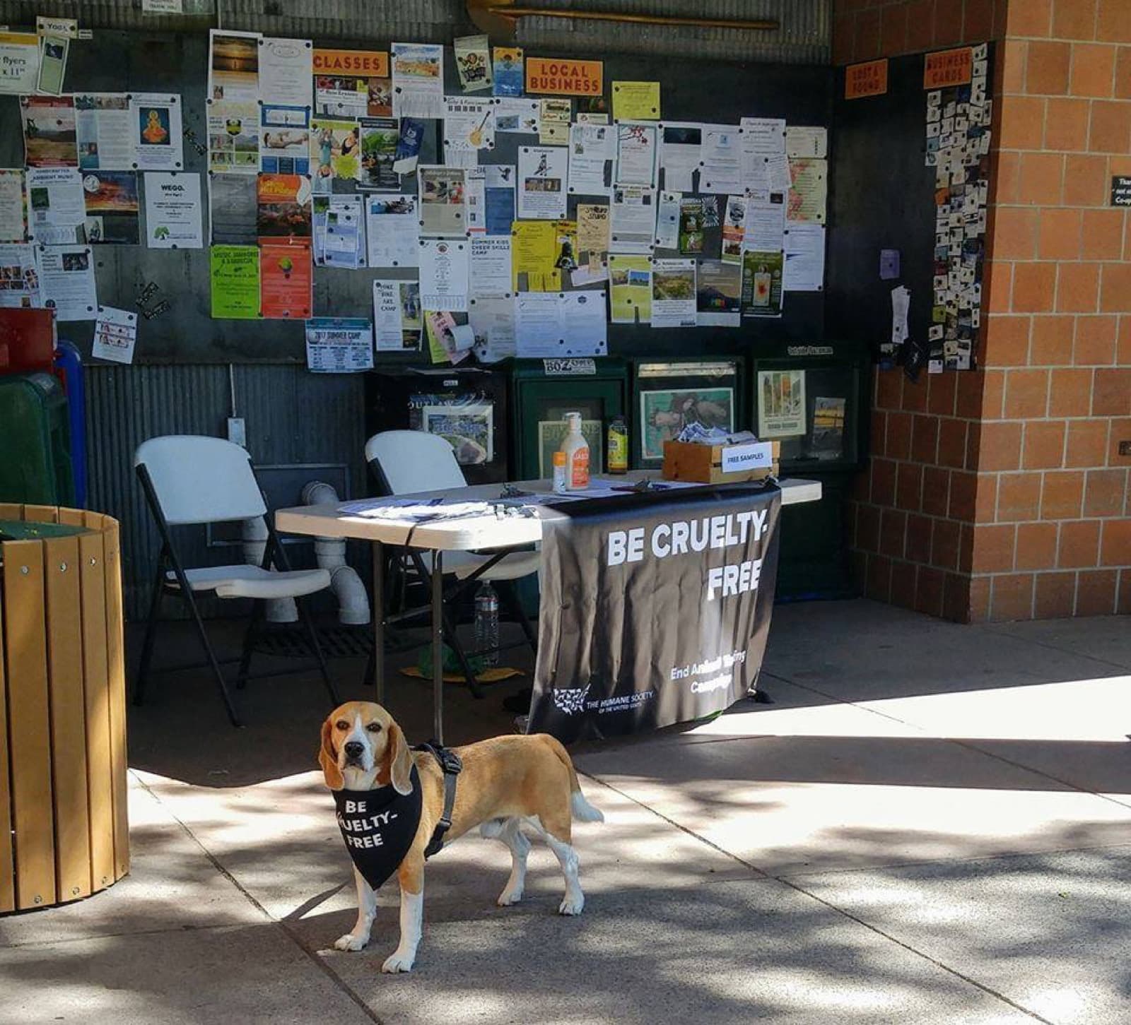 Marty wearing a Be Cruelty-Free bandana at an advocacy event